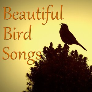 Beautiful Bird Songs