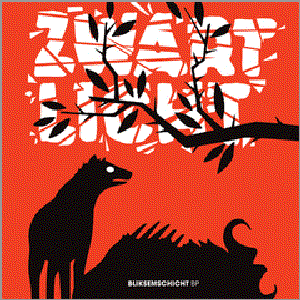 Bliksemschicht cover