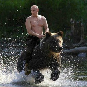 Vladimir Putin 的头像