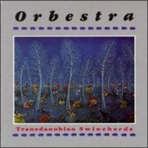 Аватар для Orbestra