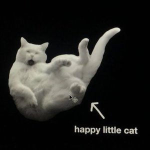 Image for 'happy little cat'