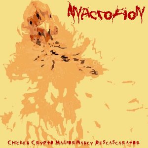 Anacropion 的头像