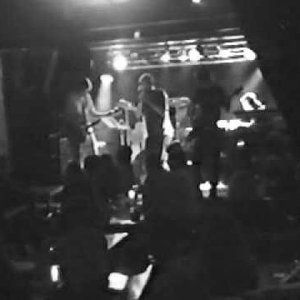 The Roots Of Echo 的头像