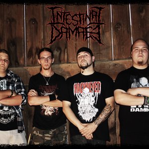 Intestinal Damage 的头像