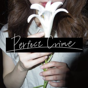 Perfect Crime - Single