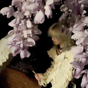 Wysteria