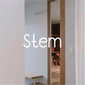 Stem