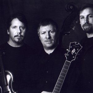 String Trio of New York 的头像