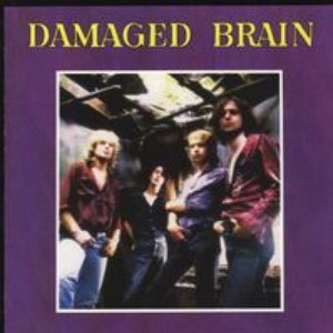 Damaged Brain