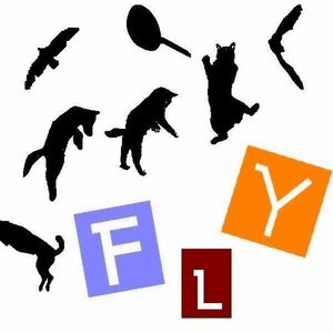 FLY