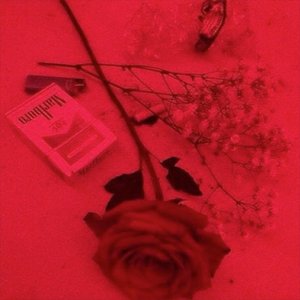 I Wrote This Song 4 U