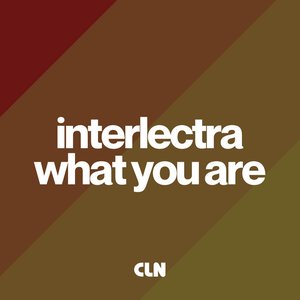 What You Are