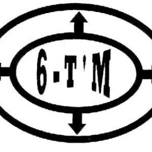 6-T'M 的头像