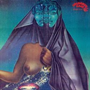 Cosmic Kraut Experience