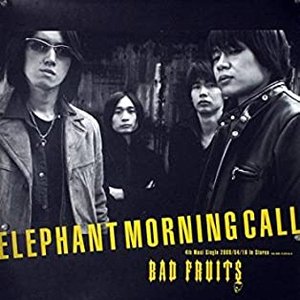 Elephant Morning Call 的头像