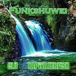 Funkshuwei
