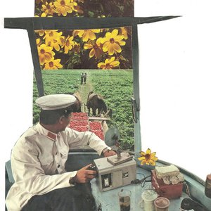Dismal Days/Daze 的头像