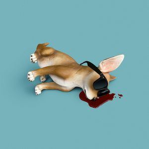 Lo Tom - LP2 - Zortam Music