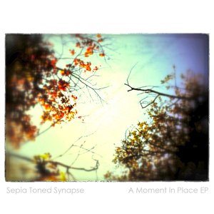 Avatar for Sepia Toned Synapse