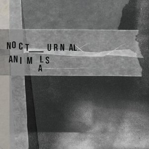 Nocturnal Animals