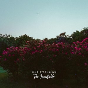 The Inevitable - Single