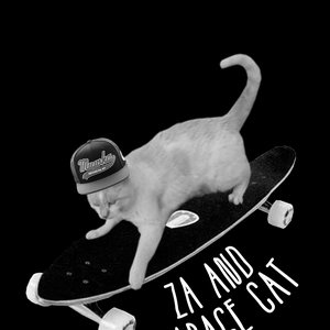 za and garage cat 的头像