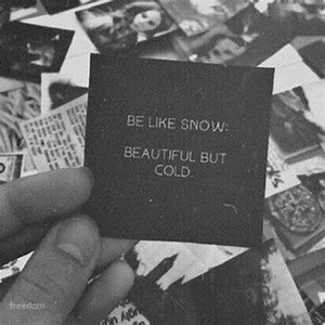 Winter The Snow