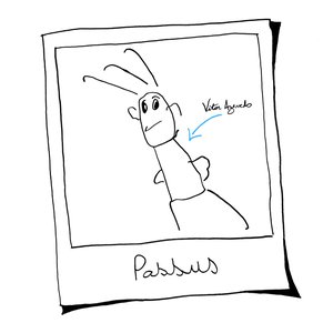 Passus