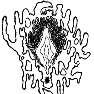 Vaginal Anal 的头像