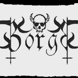 Borgo 的头像