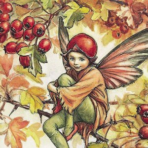 The Toadstool Elf 的头像