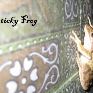 Frog Wars : When Frogs Attack