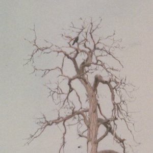 collapse