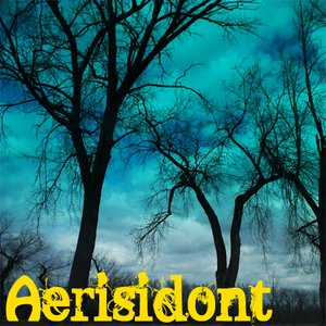 Aerisidont 的头像
