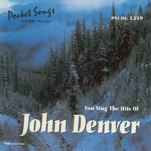 The Hits Of John Denver
