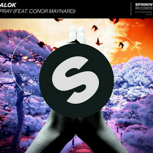 Alok - Pray - Zortam Music