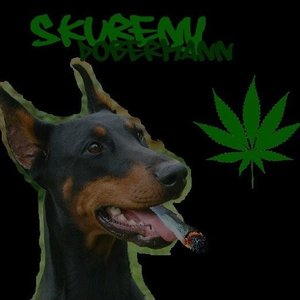 Avatar for Skureny Dobermann