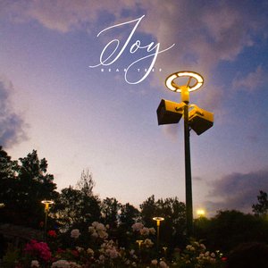 Joy