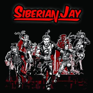 Siberian Jay