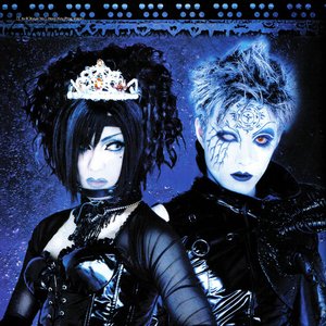 Schwarz Stein 的头像
