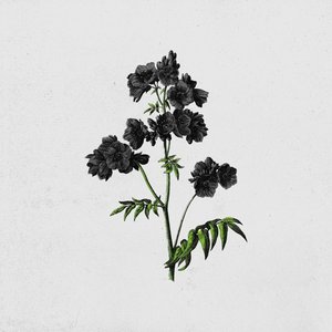 Betterman - Single