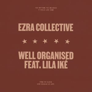 Carátula de Well Organised (feat. Lila Iké)