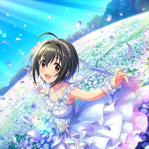 Avatar for Kohinata Miho