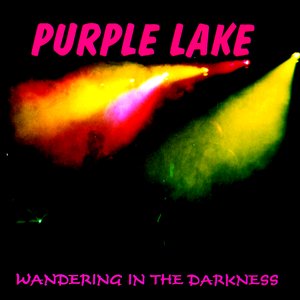 Wandering In The Darkness