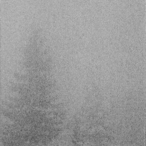 Dim Aesthetics