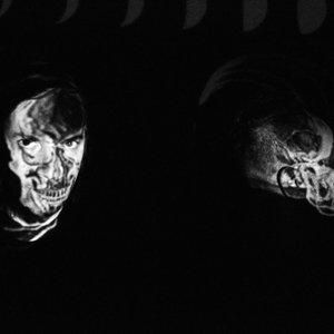 Image for 'The Skull Eclipses, Botany & Lushlife'
