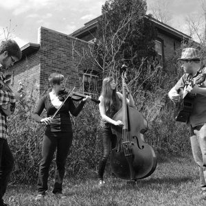 Sparrow Tree 的头像