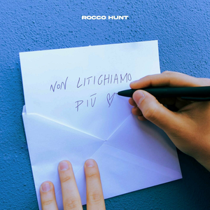 Artwork for Non litighiamo più