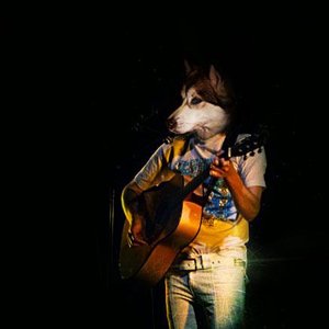 Le Husky 的头像