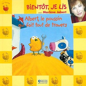 Albert, le poussin qui fait tout de travers